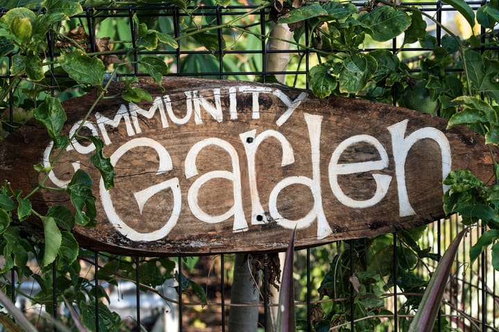 A wooden sign with "Community Garden" written in white paint. It's attached to a grid metal fence with vines running through it.